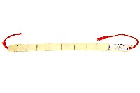 藏品(賽夏族古貝殼項鍊)的圖片