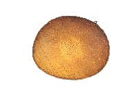 藏品(賽夏族糕籩)的圖片