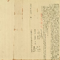 藏品(光緒六年胞兄黃天傳立斷根歸管水田山林契字)的圖片