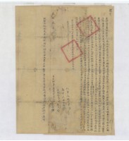 藏品(光緒元年林從舍立杜賣盡根契字)的圖片