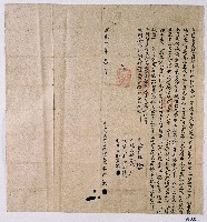 藏品(道光六年衛二生杜賣盡根園契字)的圖片