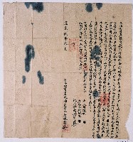 藏品(道光五年衛琳秀杜賣盡根園契字)的圖片