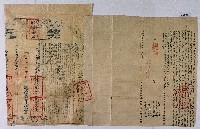 藏品(同治十二年林陳氏杜賣盡根埔地山場契)的圖片