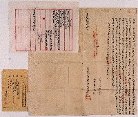 藏品(光緒十二年大甲西社婦交吉阿武立開墾永耕契字)的圖片