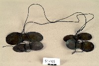 藏品(達悟族八字型金屬配飾)的圖片