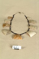 藏品(達悟族貝殼胸飾)的圖片