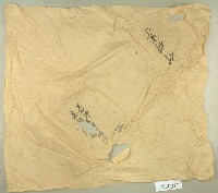 藏品(嘉坤嘉禎埔園契約卷包紙)的圖片