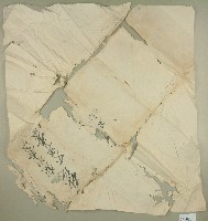 藏品(砂坑墾批丈單契卷卷包紙)的圖片
