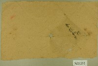 藏品(金振和借單契卷卷包紙)的圖片