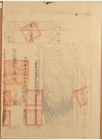 藏品(光緒十三年布字捌千貳百壹拾陸號右給新竹縣業戶嚴阿祿之契尾)的圖片