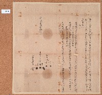 藏品(道光二年安等人仝立鬮分書)的圖片