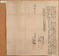 藏品(咸豐十一年猫朥干等立典田契)的圖片