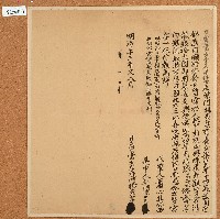 藏品(明治三十三年楊查某立質當女字)的圖片
