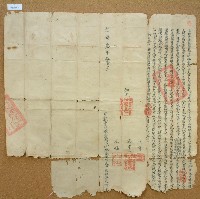 藏品(光緒三年東阿元立杜賣開墾盡根山埔地基契字含契尾)的圖片