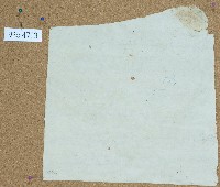 藏品(內□卷包單)的圖片