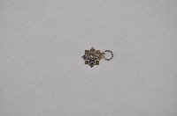 藏品(六等雲麾襟綬小勳章)的圖片