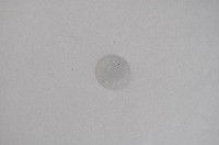 藏品(采玉大勳章白玉國徽（小）)的圖片
