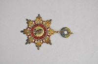 藏品(抗戰勝利勳章)的圖片