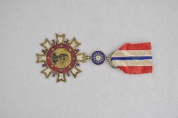 藏品(抗戰勝利獎章)的圖片