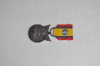 藏品(抗戰勝利紀念章)的圖片