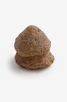 藏品(陶製尖錐形蓋鈕（殘）)的圖片