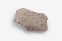 藏品(灰黑胎素面陶器底部殘片)的圖片