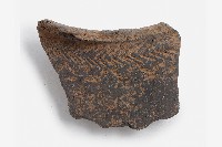 藏品(黑色夾砂羽狀紋陶罐形器肩部殘片)的圖片