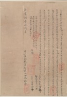 藏品(立盡杜根賣契)的圖片