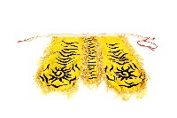 藏品(八家將衣飾之下身衣物)的圖片