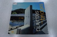 藏品(nuevos puentes new bridges)的圖片