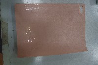 藏品(《橋樑設計》)的圖片