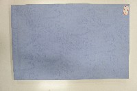 藏品(英文版吊橋製造書影印版)的圖片