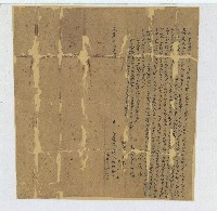 藏品(咸豐元年鄭秋香立杜賣盡根田契字)的圖片