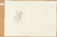 藏品(昌字655、6536、6549號卷包單)的圖片