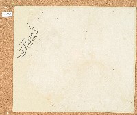 藏品(中和季福字5484、5486號卷包單)的圖片