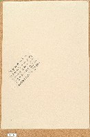 藏品(契包紙)的圖片