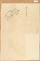 藏品(契包紙)的圖片