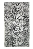 藏品(大興宮重修喜捐緣金名碑拓本)的圖片