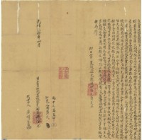 藏品(光緒二十年周益興號立賣杜絕盡根契字)的圖片