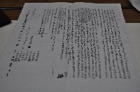 藏品(同治四年啓亮等人立奉母命合同鬮書)的圖片