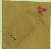 藏品(東興庄契抄契包紙)的圖片