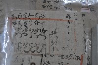 藏品(菜心等記帳單)的圖片