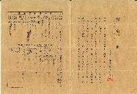 藏品(昭和十一年陳憨保險申請書)的圖片