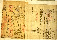 藏品(道光二十二年陳添丁立杜賣盡斷根田契字)的圖片