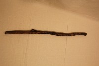 藏品(林衡道所用木頭拐杖)的圖片