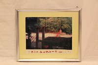 藏品(台東縣知本森林遊樂區)的圖片