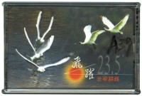 藏品(飛越23.5北廻歸線撲克牌)的圖片