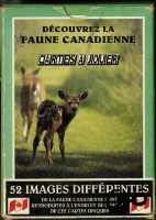 藏品(發現加拿大的野生動物英文字樣撲克牌)的圖片