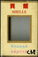 藏品(星光地球科學陳列館貝類撲克牌)的圖片