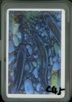 藏品(艾立佛設計鯨魚撲克牌)的圖片